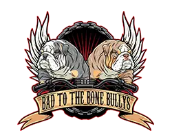 Bad To The Bone Bullys